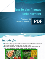 A Utilização Das Plantas Pelo Homem