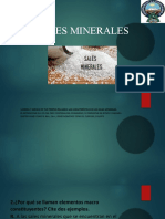 Sales minerales: características, funciones y fuentes alimenticias