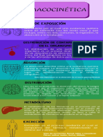 Infografía Anatomía Cuerpo Humano Cromático Informativo Lúdico  Multicolor