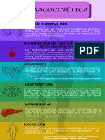 Infografía Anatomía Cuerpo Humano Cromático Informativo Lúdico Multicolor