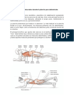 Músculos Involucrados Durante La Plancha para Abdominales