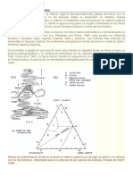 Carbón. Medios de Sedimentación