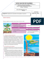 Tercero-Ciencias - Reino Vegetal