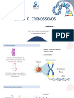 Aula 4 - Cromossomos e divisÃ£o celular
