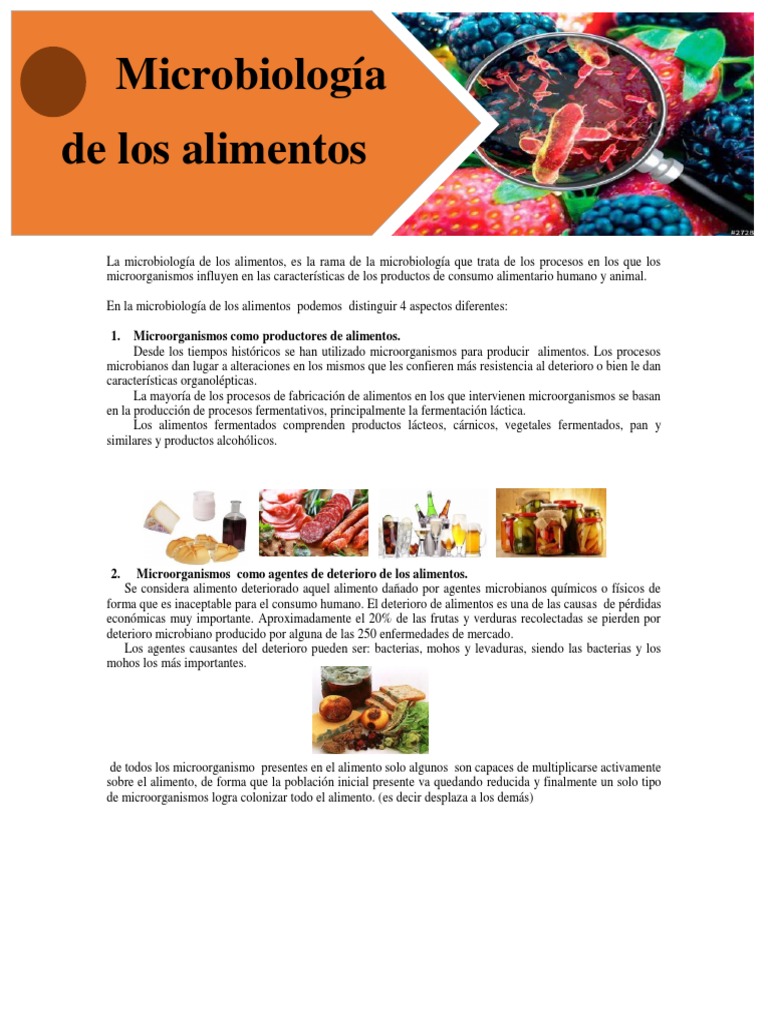 Microbiología de Los Alimentos | PDF | Alimentos | Curado (Conservación ...
