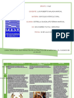 Cuadro Comparativo P.C.A