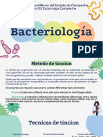 Técnicas de tinción bacteriológica