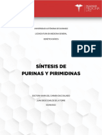 Infografía Síntesis Nucleobases