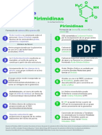 Sintesis de Nucleobases