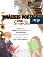 Analisis Poetico-Literaturaii