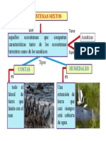 Ecosistemas Mixtos