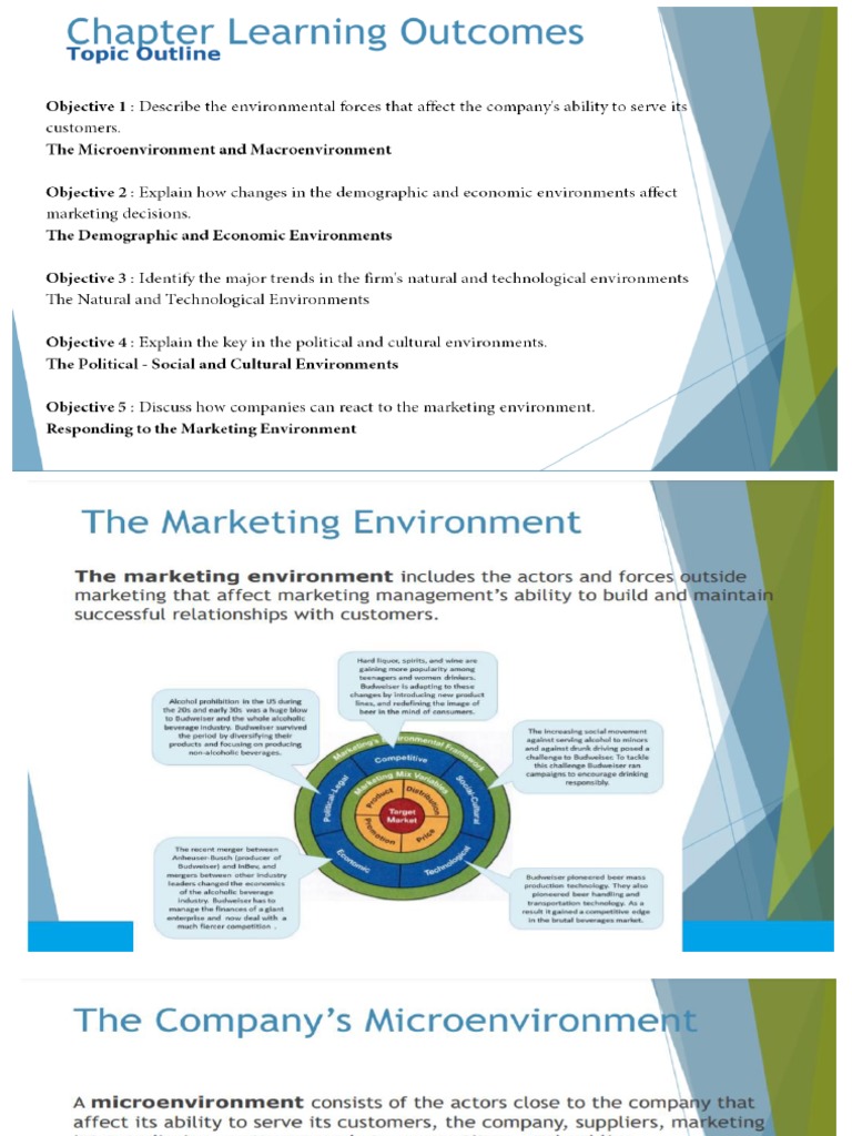 Chapter 3 Analyzing The Marketing Environment | PDF
