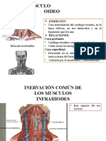 Expo Anatomia Nayelly