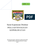 SK Pola Ketenagaan Keperawatan