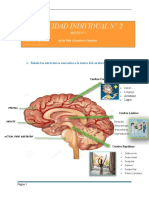 ACTIVIDAD INDIV #2 - Neuropsicología - Araly Alcantara G.