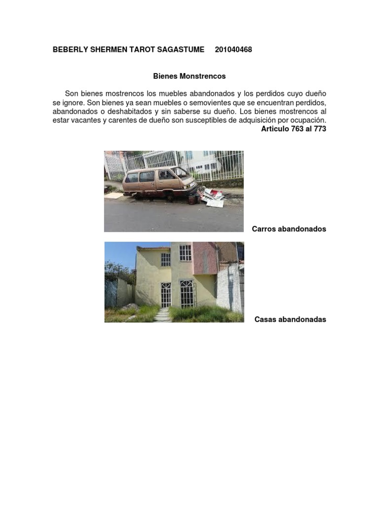 Bienes Mostrencos PDF