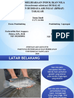 Teknik Pemeliharaan Induk Ikan Nila Salin (Oreochromis niloticus) di BPBAP Takalar