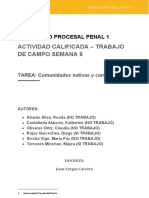 T2 Procesalpenal1