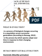 Human Evolution