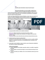 Tareas Endodoncia 1