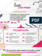 La Fecundación y Sus Etapas