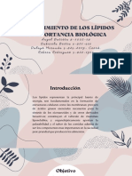 Informe de Laboratorio #5