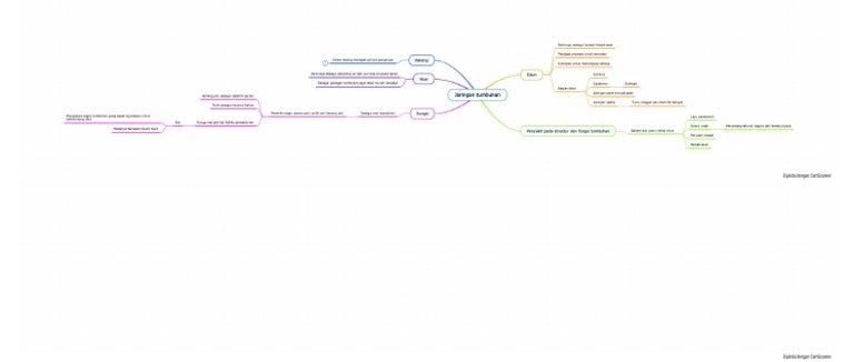 Mind Map Jaringan Tumbuhan | PDF
