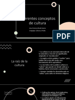 Diferentes Conceptos de Cultura