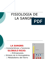 Fisiología de la sangre: sus componentes y funciones vitales en