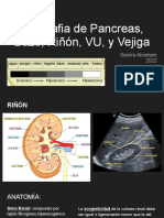 Ecografia de Pancreas, Bazo, Riñón, VU, y Vejiga