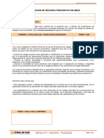 03 F. Designacion Recurso Preventivo