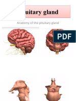 1- Pituitary gland