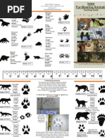 Download Fur Bearing Animal Brochure by Kristie Karima Burns SN60126621 doc pdf