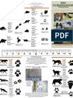 Fur Bearing Animal Brochure