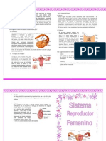 Sistema Reproductor Femenino