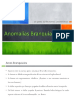 Anomalías Branquiales