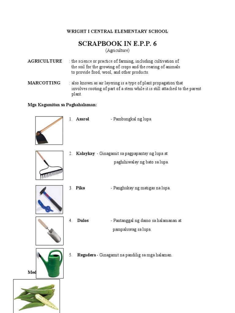 Scrapbook in Epp 6 | PDF
