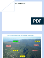 ATLAS DES PAYSAGES ET RUGOSITES - 5 - La Plaine Des Palmistes