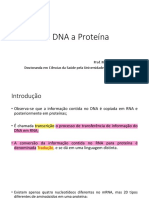 Do DNA à Proteína: A Tradução do Código Genético