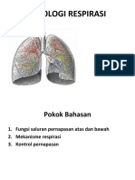 Fisiologi Respirasi