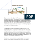 Perbedaan Ipigeal Dan Hipogeal File