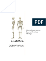 Anatomía Comparada 2019