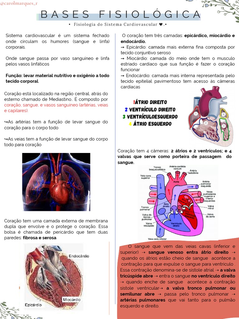 Fisiologia Do Sistema Cardiovascular . | PDF | Coração | Átrio (coração)