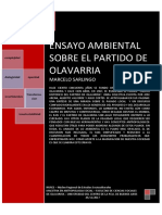 Ensayo Ambiental Del Partido de Olavarria Version 1 - Marcelo Sarlingo