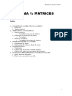 Matemáticas, tema 1 ''Matrices''