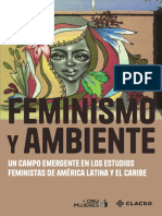 Feminismo Ambiente