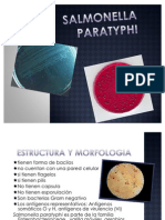 Salmonella Paratyphi