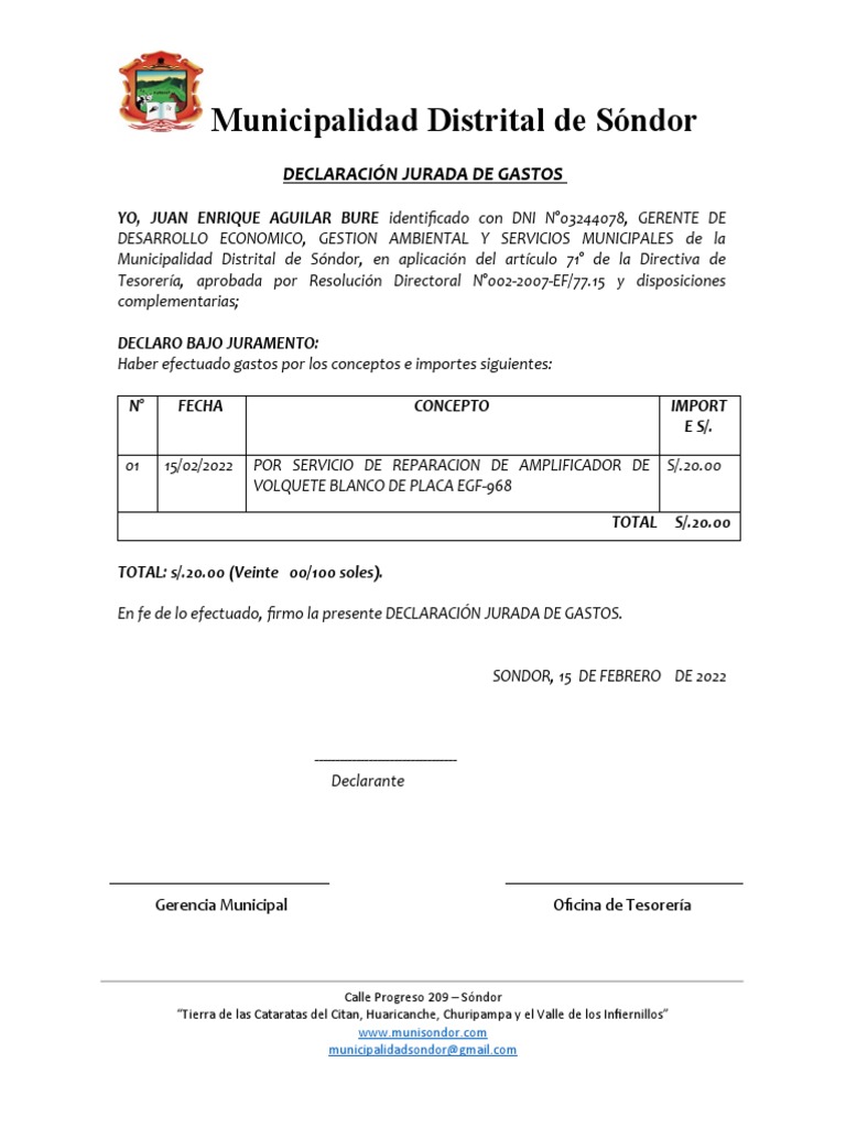 Declaración Jurada de Gastos 2022 | PDF