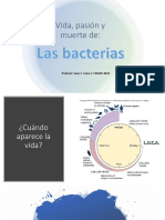 3e Bacterias