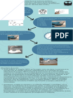 Infografía Algunos Consejos para Emprendedoras